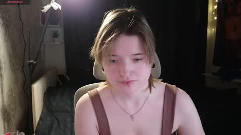 meowme online show from 24, 2, 2026