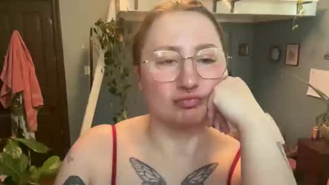 meowmaxx online show from 8, 4, 2026