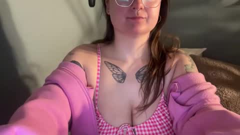 meowmaxx online show from 10, 4, 2026