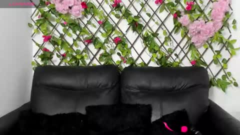 My next birthday is December 11th. online show from 14, 11, 2025