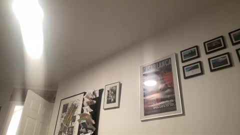 metallica92786 online show from 20, 12, 2025