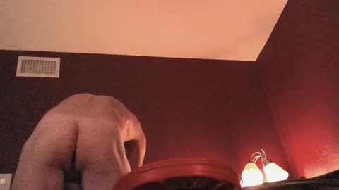 methorny online show from 16, 12, 2024