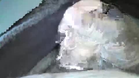 mexianthehawk online show from 14, 9, 2025