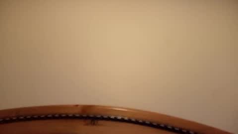 Snapshot of mhorny5 chatting on 14, 9, 2025 mhorny5 online show from 14, 9, 2025