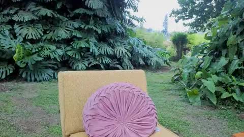 Mia Inkk online show from 2, 3, 2026