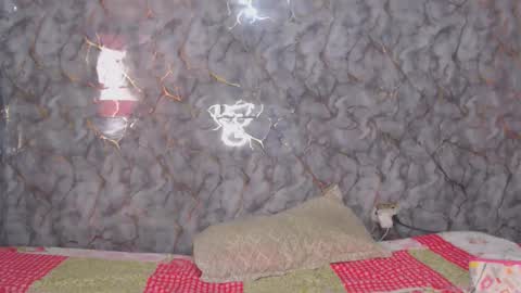 miarouse1531 online show from 7, 2, 2026