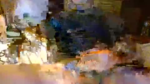 michiganstud28 online show from 22, 4, 2026