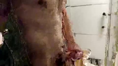 mickavis1975 online show from 14, 12, 2025