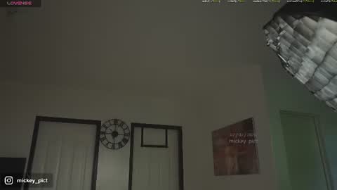 Snapshot of mickey_pict chatting on 2, 7, 2026 Mickey online show from 2, 7, 2026