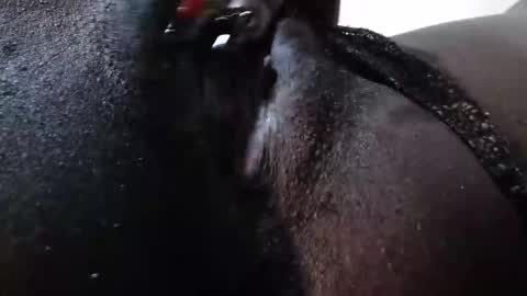 mickey online show from 16, 12, 2025