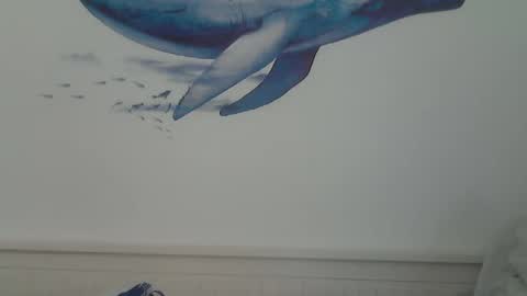 Snapshot of midhir chatting on 15, 1, 2025 kike online show from 15, 1, 2025