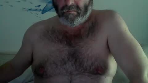 Snapshot of midhir chatting on 28, 1, 2025 kike online show from 28, 1, 2025