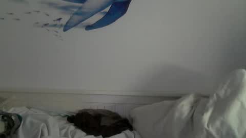 Snapshot of midhir chatting on 31, 1, 2025 kike online show from 31, 1, 2025