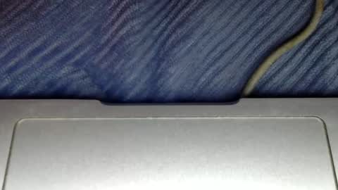 Snapshot of midiin chatting on 5, 12, 2024 midiin online show from 5, 12, 2024