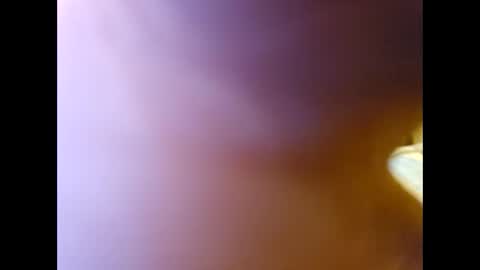 Midwest stroker online show from 29, 11, 2025