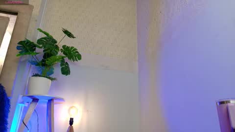 MIA  online show from 14, 1, 2026