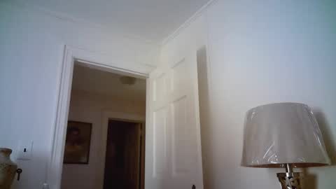 Snapshot of mikewulds chatting on 21, 12, 2025 Mike online show from 21, 12, 2025