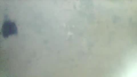 Hammer online show from 24, 2, 2025