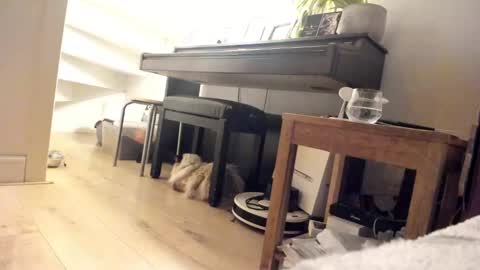 Snapshot of milu_curly chatting on 5, 3, 2025 Milu online show from 5, 3, 2025