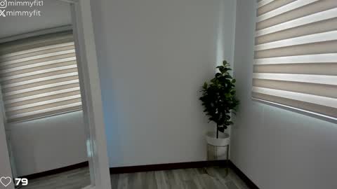 Snapshot of mimmyfit1 chatting on 3, 2, 2025 mimmyfit1 online show from 3, 2, 2025