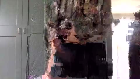 mince_alors online show from 24, 11, 2025