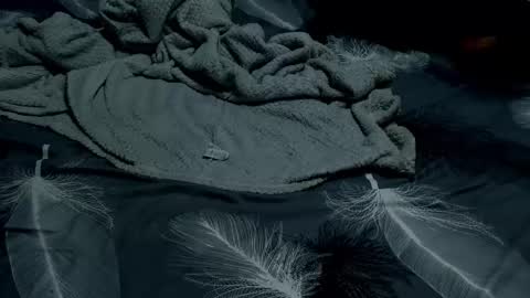 minka0 online show from 16, 3, 2026