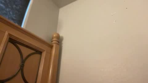 Snapshot of minnyminx chatting on 11, 2, 2026 Minx online show from 11, 2, 2026