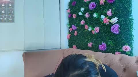 Miranda online show from 6, 11, 2025