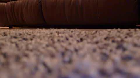 misohoney007 online show from 14, 4, 2026