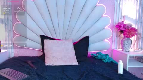 Snapshot of misroos chatting on 17, 12, 2025 ross online show from 17, 12, 2025