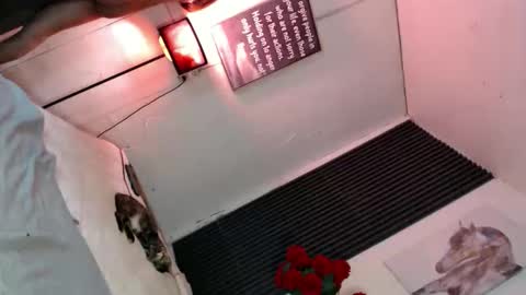 miss_bella69 online show from 5, 11, 2025