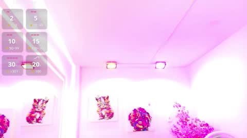 Melanie online show from 21, 3, 2026