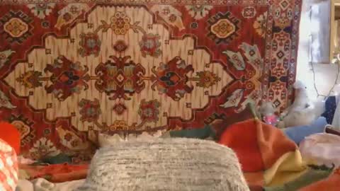 Elis online show from 14, 11, 2025