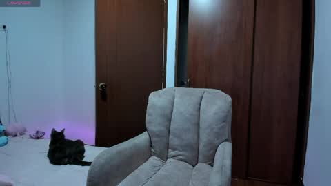 insta    online show from 25, 4, 2026