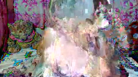 miss v0lcan0 online show from 15, 3, 2026