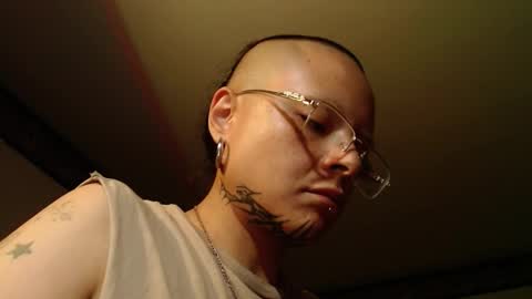 Anarkitten  online show from 19, 11, 2025