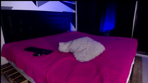 Miss Loise online show from 29, 1, 2025