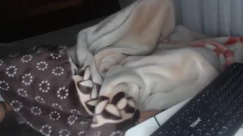 Snapshot of misspink152015 chatting on 28, 12, 2024 sarah online show from 28, 12, 2024