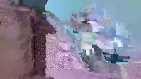 Mister Gringo online show from 11, 2, 2026