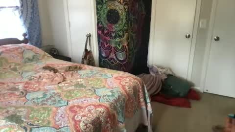 MistyVale online show from 21, 1, 2025