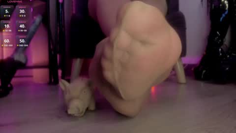 Jhadee online show from 13, 1, 2025