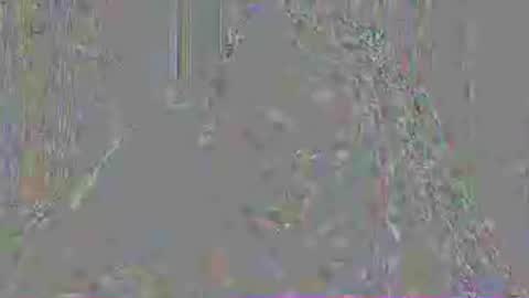 Mistress Mystii online show from 3, 7, 2026