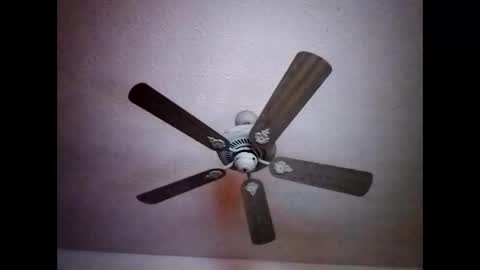 BobbyMitchGa online show from 15, 12, 2024