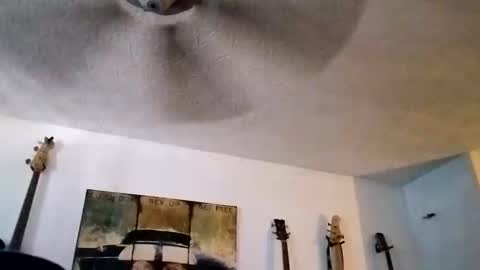 BobbyMitchGa online show from 14, 9, 2025