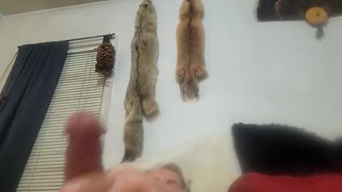 Snapshot of mjohnmor2 chatting on 3, 3, 2025 cum show j online show from 3, 3, 2025