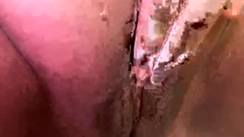 mmmtara online show from 30, 11, 2025