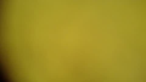 Snapshot of mohamedasif123 chatting on 29, 1, 2025 mohamedasif123 online show from 29, 1, 2025