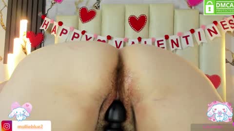 Hey Guys  Im Mollie online show from 14, 2, 2025