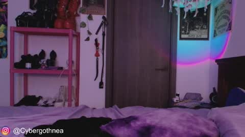 mollycrystalll online show from 15, 4, 2026