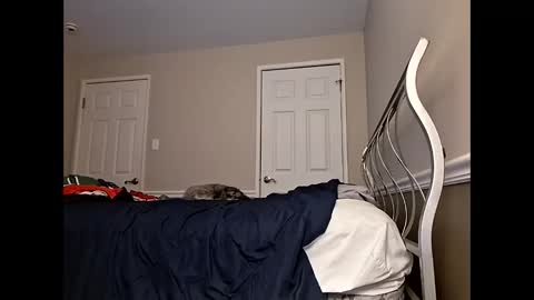 Snapshot of moneyboysaveg584 chatting on 12, 4, 2026 moneyboysaveg584 online show from 12, 4, 2026